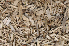 biomass boilers Bushmead